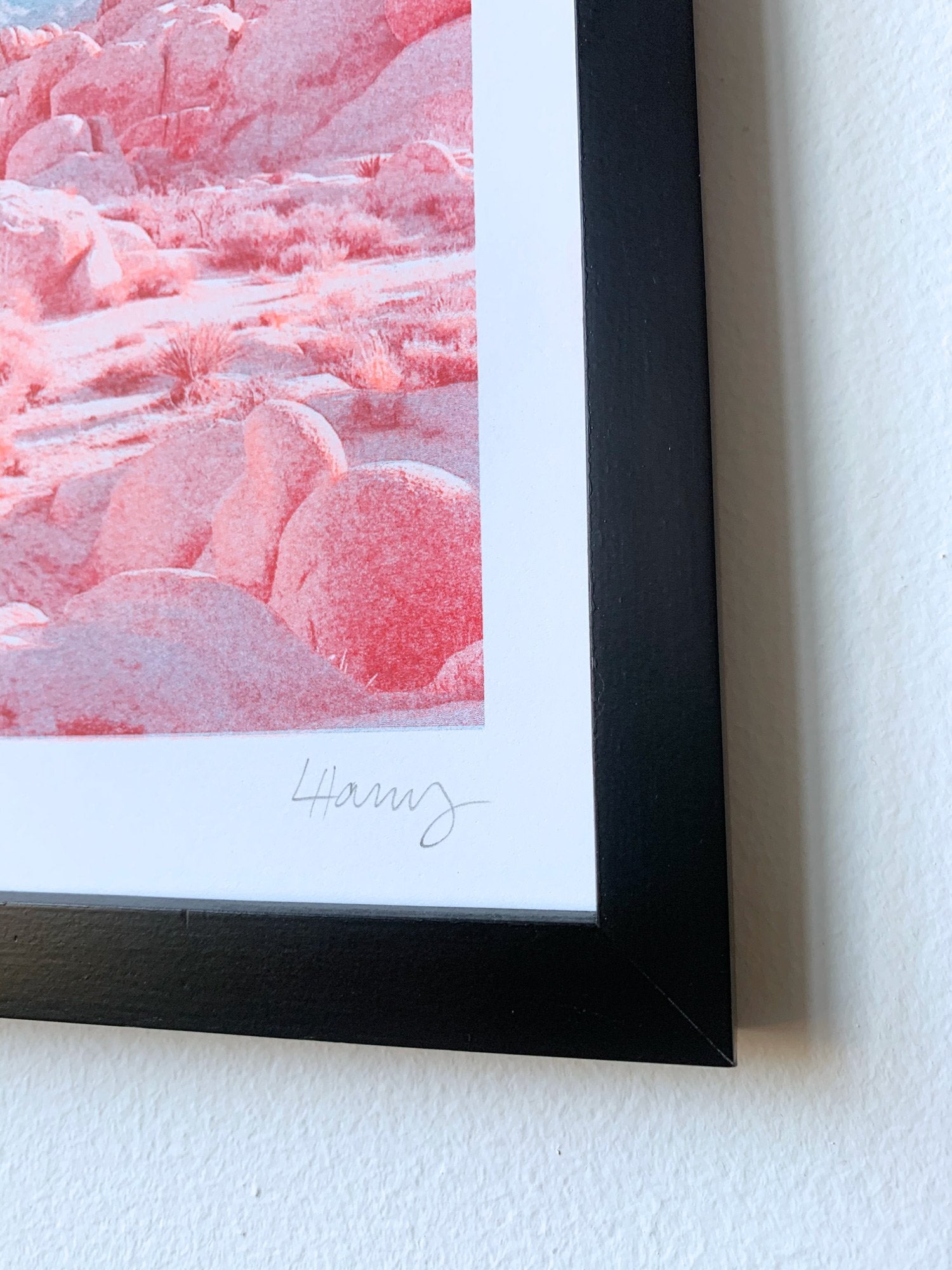 National Parks - Limited Edition Risograph Prints | Next Chapter Studio