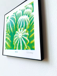 Parodia Magnifica Cacti Half-tone Risograph Print - Next Chapter Studio