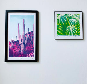 Parodia Magnifica Cacti Half-tone Risograph Print - Next Chapter Studio
