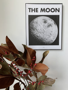 The Moon - Planet Risograph Print - Next Chapter Studio